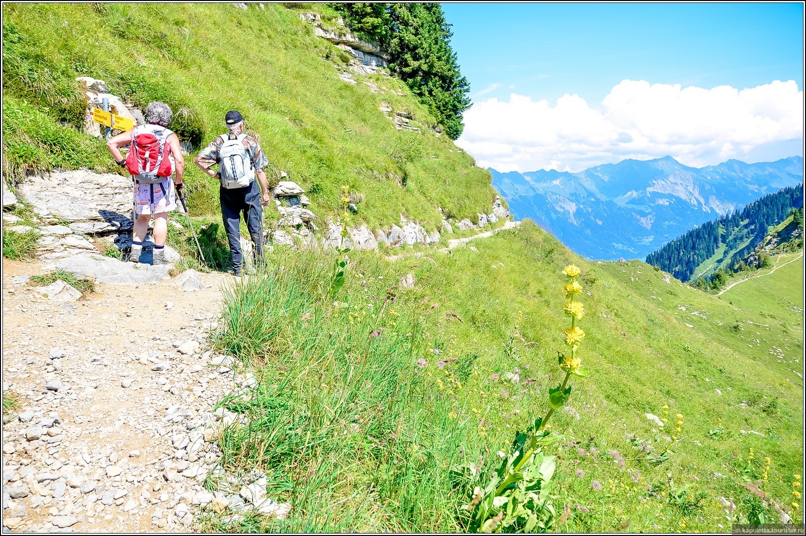Schynige Platte (Wilderswil)